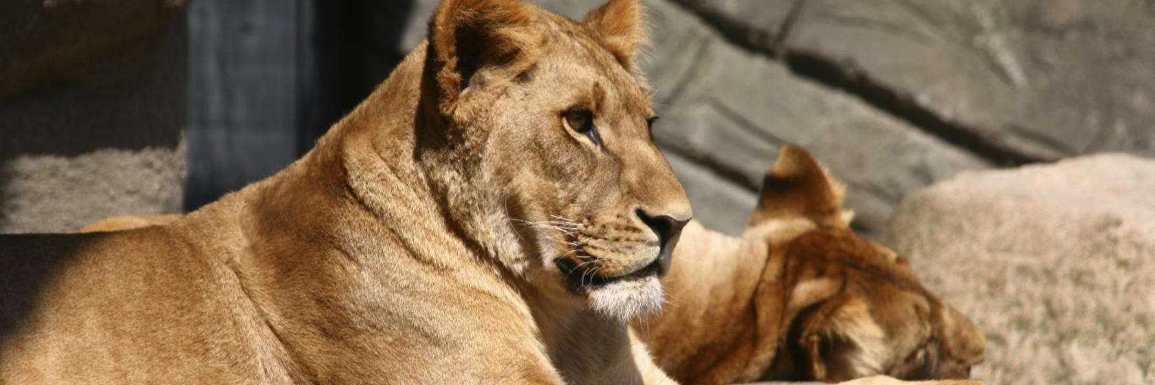 Hagenbeck Tierpark